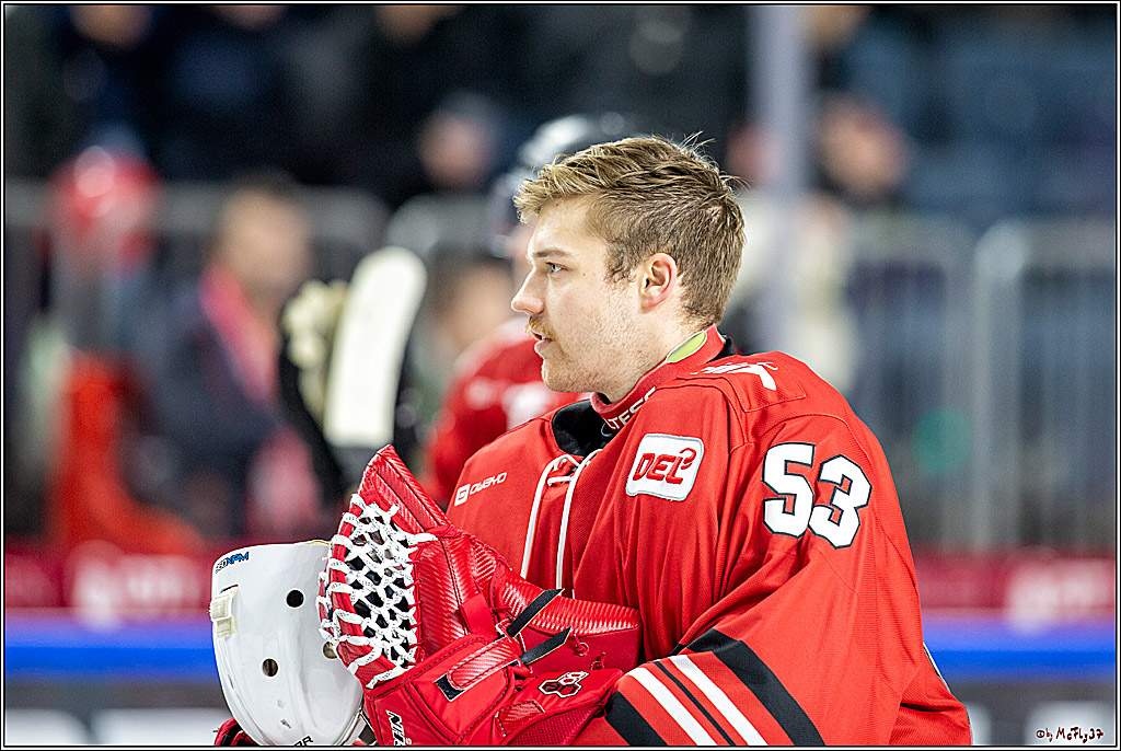 DEL; Koelner Haie - Straubing Tigers; Koeln, 17.11.2019